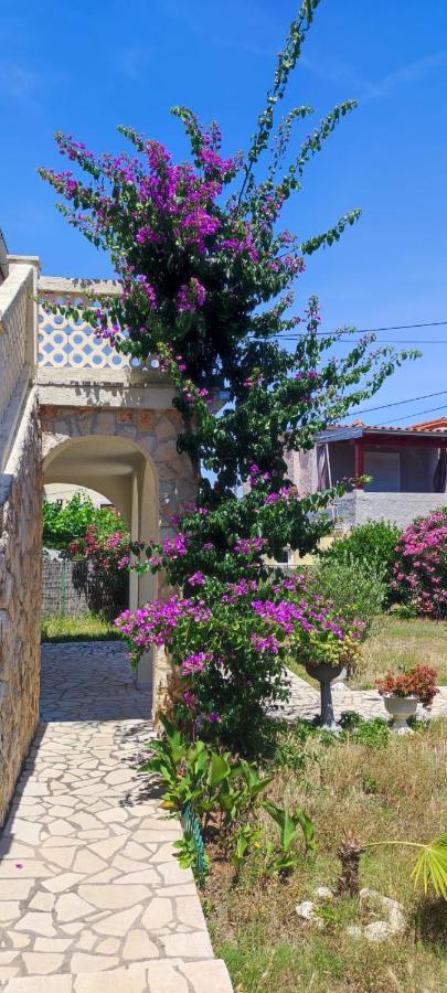 Villa Kadinela, 200M From Kamenjak, Huge Quiet Garden With Barbecue, 2 New Kitchens Premantura Extérieur photo